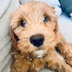 big_slime_hj's Avatar'