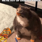 bailey_owns_u's Avatar'