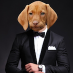 DevDog_'s Avatar'