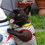 Cyxro's Avatar'