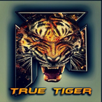 TrueTiger65's Avatar'