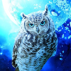 blacksNeedEBT's Avatar'