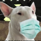 Walters_Son123's Avatar'