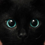 imhungry11's Avatar'