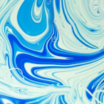 shark-b0487's Avatar'