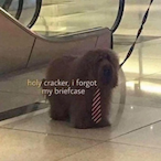 SwungbyPRODIGY's Avatar'