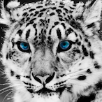 Mr.Joker12321's Avatar'