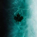 StonyALEX04's Avatar'