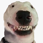 SmilingWalter's Avatar'