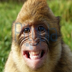 O cquilz's Avatar'