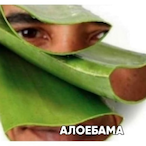 Foxer_Life's Avatar'