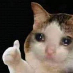 Girlfriend_Cat's Avatar'