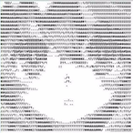 GangDuNoFuture's Avatar'