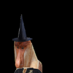 StillArtic's Avatar'