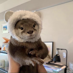 I_am_Otter's Avatar'