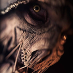 Noo8lyNoob's Avatar'