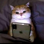 MBS_.'s Avatar'
