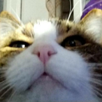 YaBoiEmil's Avatar'