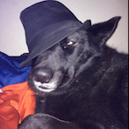 Sneet_snoot's Avatar'