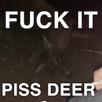 LimitedVessel58's Avatar'