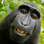 Chloramine.'s Avatar'