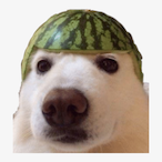 LuanMoRa30's Avatar'