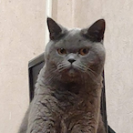 swungbyjck's Avatar'