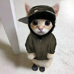 JustCilly's Avatar'