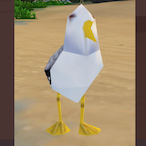 lowpoly.Seagull's Avatar'