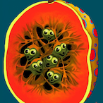 kwlla13's Avatar'