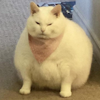 Jimmok's Avatar'