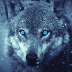 LanGun33's Avatar'