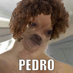 CucumisLollipop's Avatar'