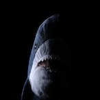 IIKT_SharkII's Avatar'