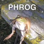 SITTING_PHROG's Avatar'