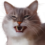 Maxiking972's Avatar'