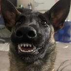 bigmunchzaddy's Avatar'