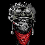 GorillaGlue...'s Avatar'