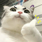 xiaodrnn's Avatar'