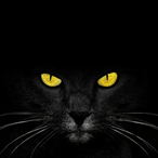 IDRdh7's Avatar'