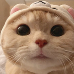 KaMi.GI's Avatar'
