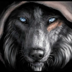 KOHXAPT's Avatar'