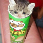 RED.KGLTimmey's Avatar'