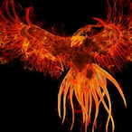 ManuCanarionn's Avatar'