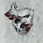 ZoiDiX's Avatar'
