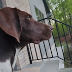 Locus__Pocus's Avatar'