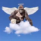 HaRaMbEsOn's Avatar'