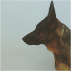 TE.MATEI.MEMO's Avatar'