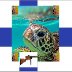 turtlecommune's Avatar'