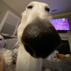SinisterClipsZ's Avatar'